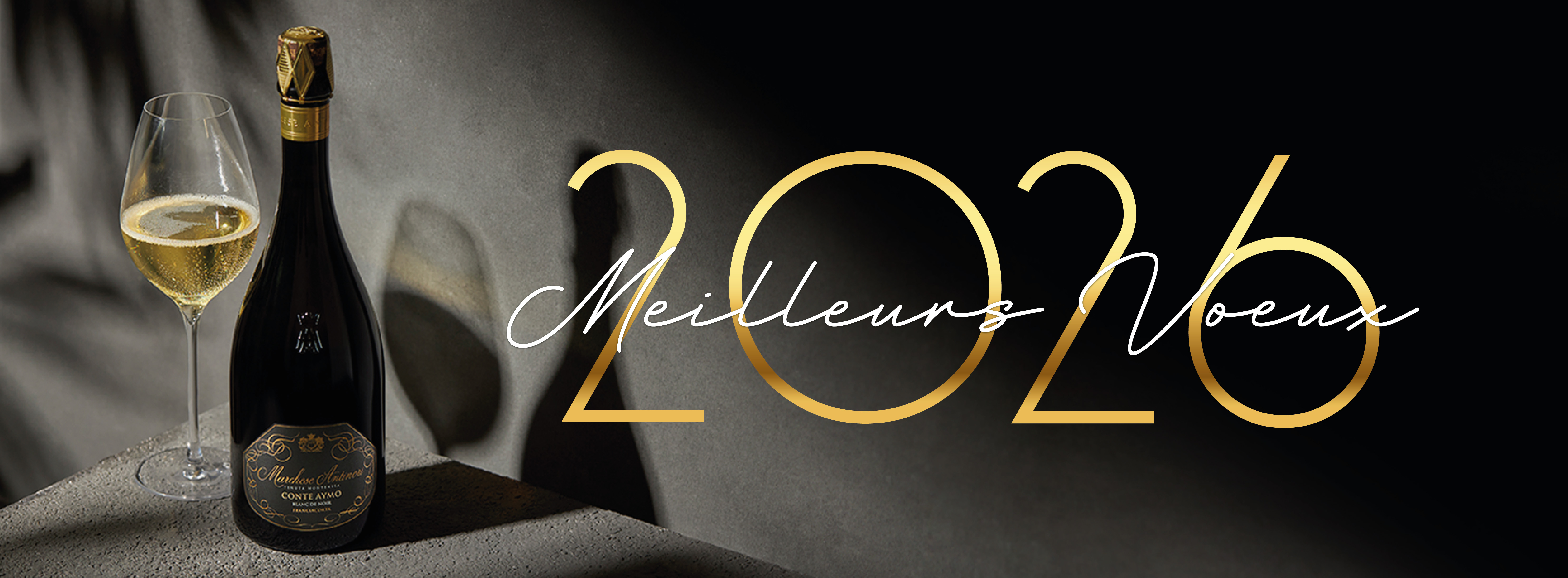 Meilleurs Voeux 2026VOEUX 2026