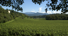 Lombardia / Lombardie - Vin Italien - Raffin Vini