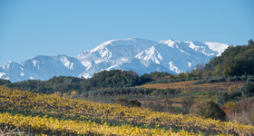 Abruzzo - Abruzzes - Vin Italien - Raffin Vini