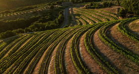 Umbria / Ombrie - Vins Italien Raffin Vini