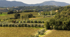 Lombardia / Lombardie - Vin Italien - Raffin Vini