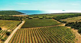Sardegna / Sardaigne - Vins Italien - Raffin Vini