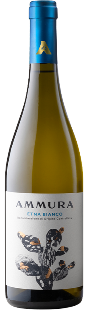 Ammura Etna Bianco DOC - Raffin Vini