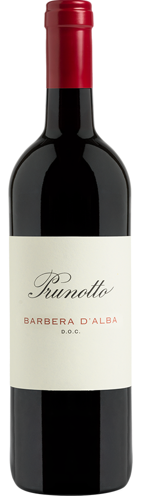 Barbera d'Alba DOC Raffin Vini