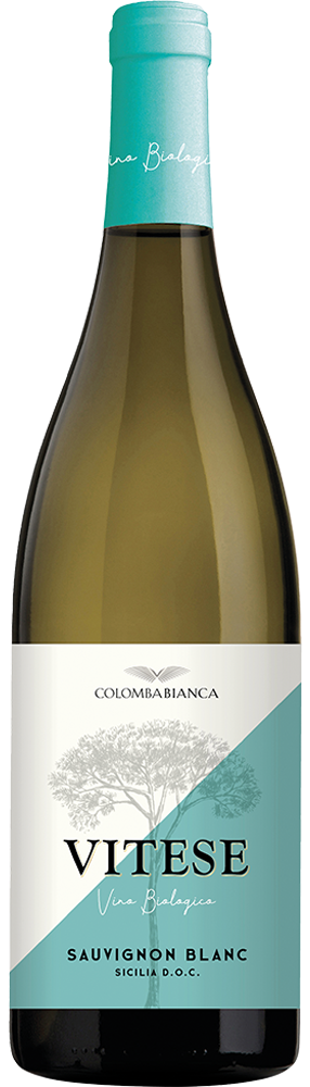Colomba Bianca - Vitese Sauvignon Blanc Sicilia DOC Bio - Sicilia - Raffin Vini