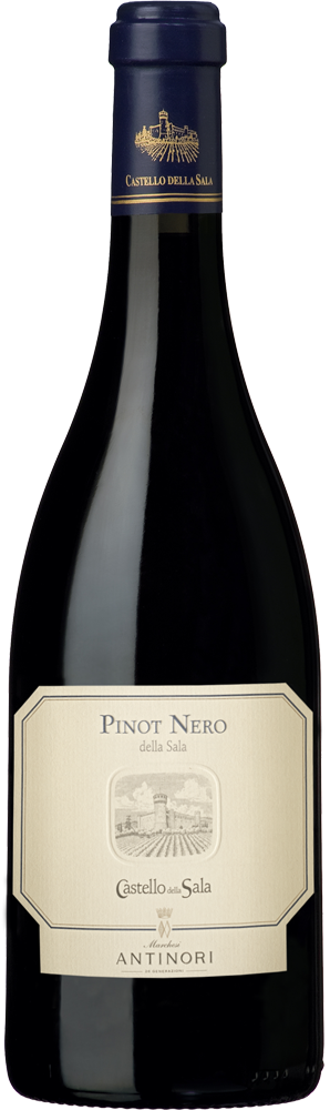 Pinot Nero Umbria IGT raffin vini