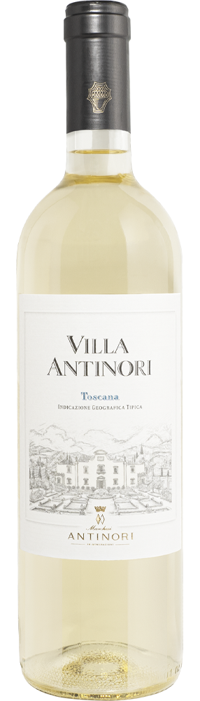 Villa Antinori Bianco Toscana IGT Raffin Vini