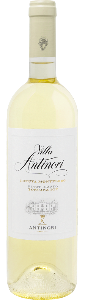 Villa Antinori Pinot Bianco Toscana IGT Raffin Vini