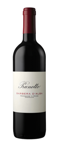 Barbera d'Alba DOC Raffin Vini